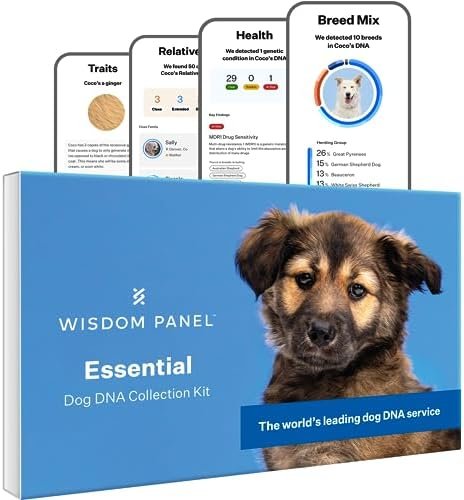 Wisdom Panel Essential Dog DNA Kit: Most Accurate Test for 365+ Breeds, 30 Genetic Health Conditions, 50+ Traits, Relatives, Ancestry – 1 Pack