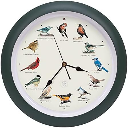 Mark Feldstein & Associates The Original Singing Bird Clock 25th Anniversary Edition, As Seen On TV (13 Inch, Matte Green)